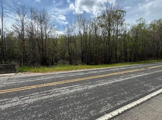 Brewer Rd, Manning, SC 29102