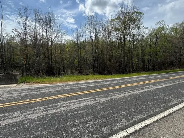 Brewer Rd, Manning, SC 29102