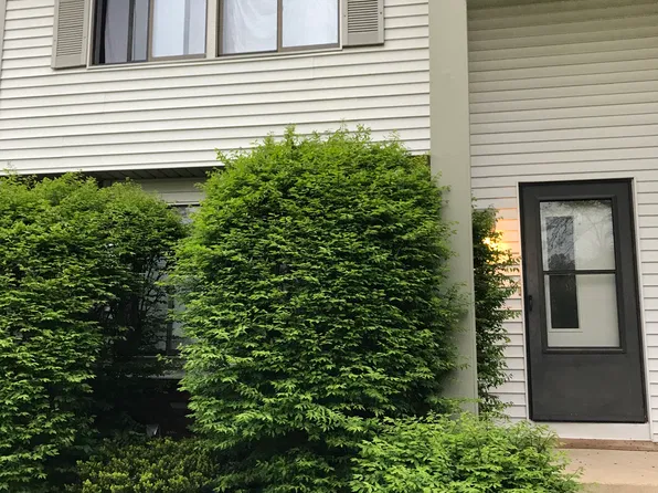 10125 Driftwood Cv, Aurora, OH 44202