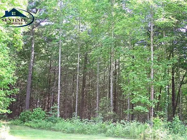 108 Mystic Pines Way, Hendersonville, NC 28739