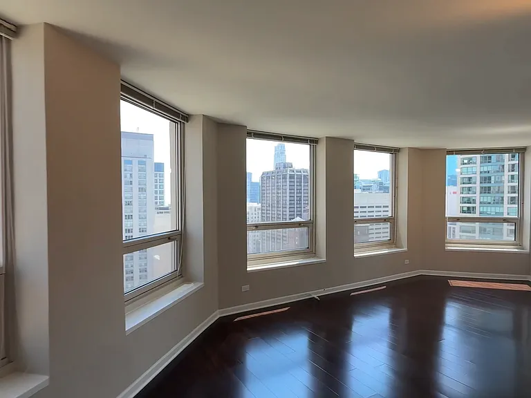 745 N Rush St #3203 — Photo 7