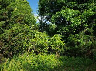 261 W Mount Rd, Kodak, TN 37764