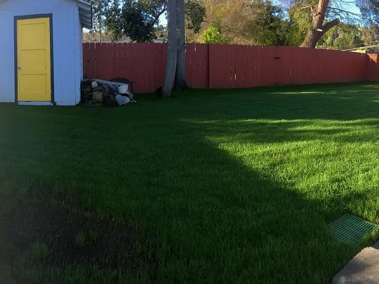 Backyard featuring PVC capped decking, grass, and storage shed.