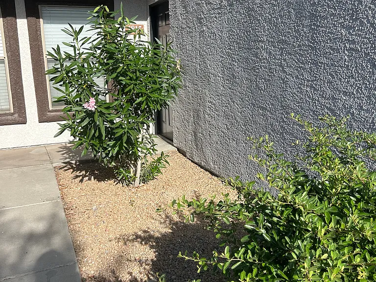 45 Maleena Mesa St #1815 — Photo 17
