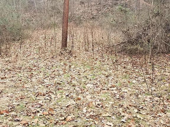 4th image of 1439 Hwy 25w S