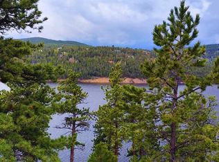 112 Switzerland Trl #20, Nederland, CO 80466