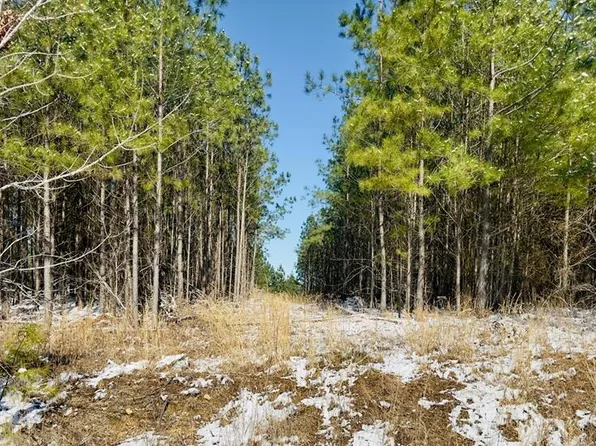 0 Walnut Grove Rd Lot 2 & 3, Dover, TN 37058