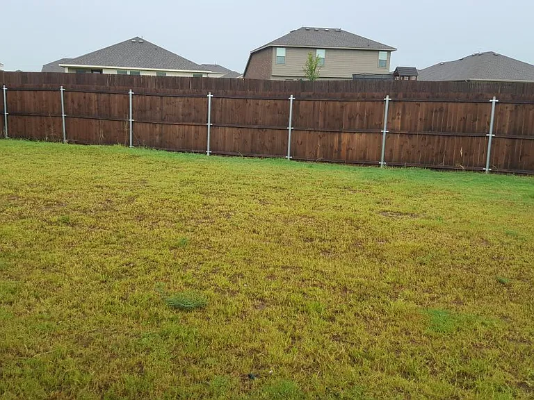 319 Elam Dr — Photo 15