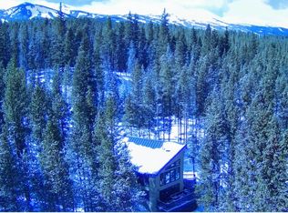 233 Blue Flag Cir, Breckenridge, CO 80424
