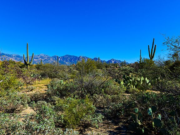 3rd image of 1828 W Mountain Mirage Pl #154