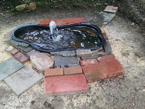 smaller ornamental - 2 ponds