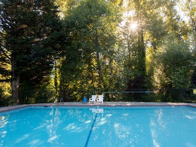 9907 NE 124th St APT 815, Kirkland, WA, 98034