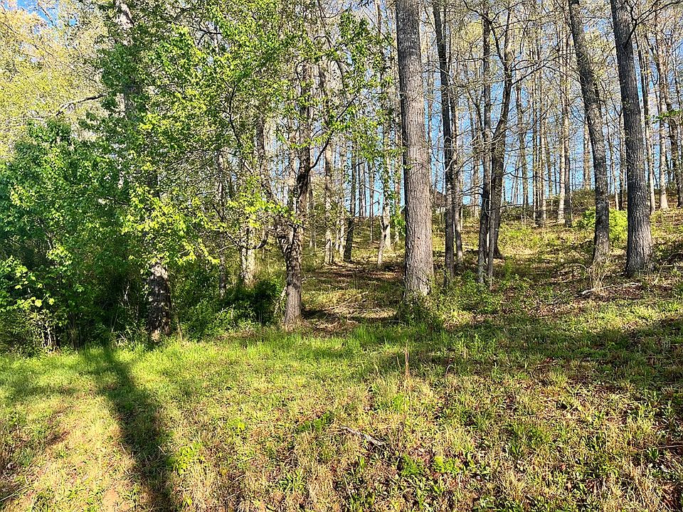 160 Owen Glen Dr, Blairsville, GA 30512 Zillow