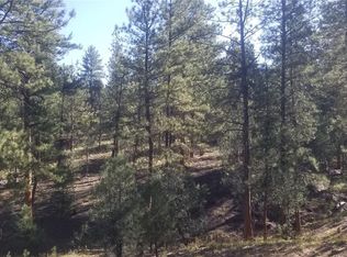 2634 Indian Wells Rd, Cotopaxi, CO