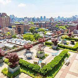 Rented by Bond New York