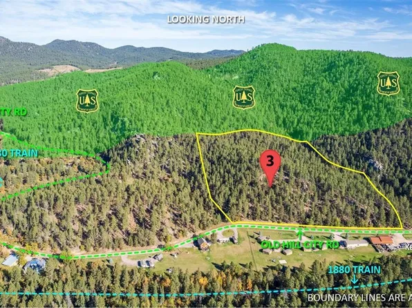 3 Old Hill City Rd, Keystone, SD 57751