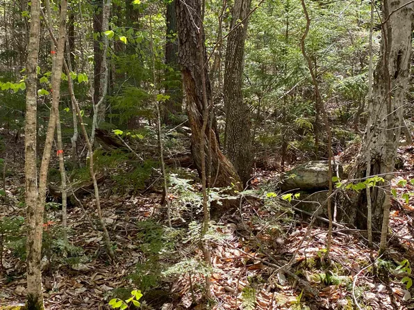 Map 248 lot 001 Hunt Road East, Plymouth, NH 03264