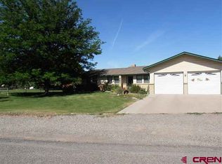 561 Willow Wood Ln, Delta, CO 81416
