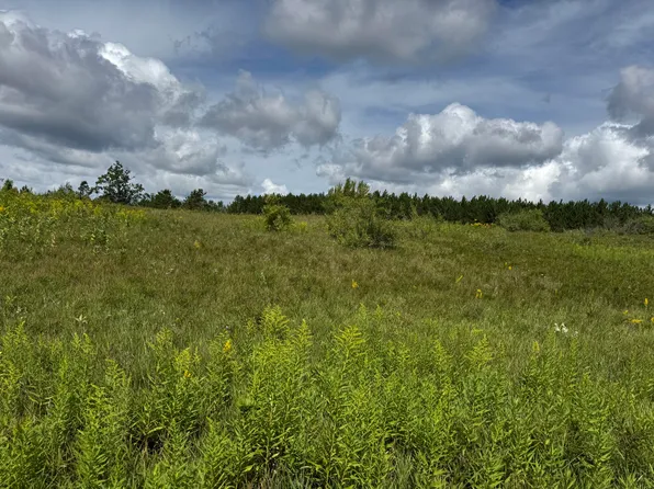 V/l1325ac Co Road & Ann Arbor Rd #612, Lewiston, MI 49756