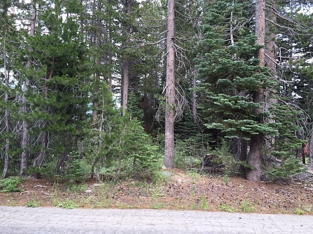 2nd image of 8256 Muir Ct