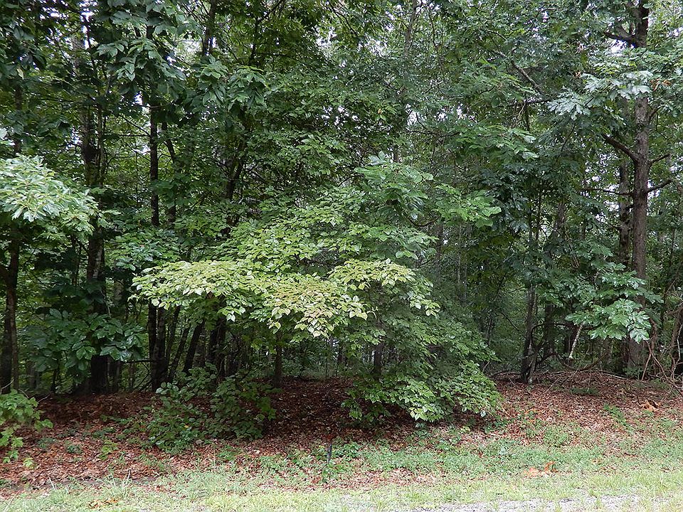 1st image of 204 Amherst Ln Lot 48