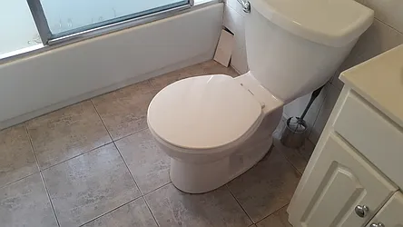 Rented by All Boro Cash Realty LLC