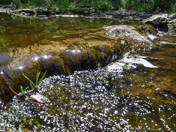 5th image of E Heller Rd