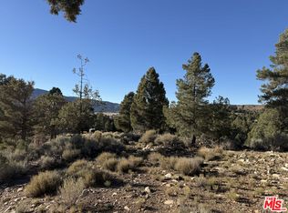 46280 Boron Ln, Big Bear City, CA 92314