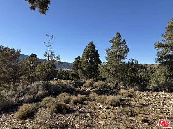 46280 Boron Ln, Big Bear City, CA 92314
