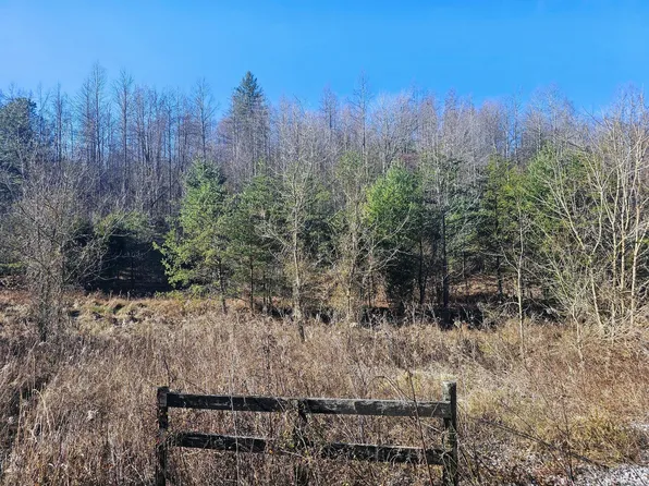 9999 Old State Rd, Wellington, KY 40387