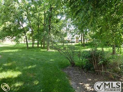 REAR YARD VIEW.JPG