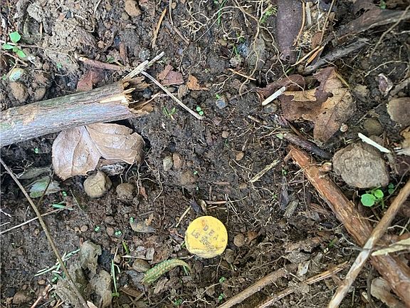 This pin marks the NE corner of lot 9. The 'for sale' sign post is right next to the pin. Walk down the road approximately 130 Ft to the west and find a ribbon approximating the NW corner.