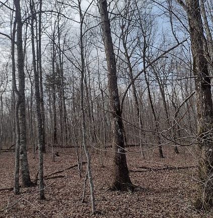 4th image of 0 2nd Dr Lot 146