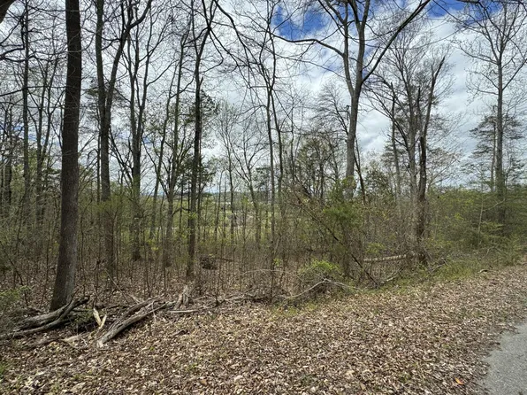 91 Butterfly Cove Trl Lot 91, Decatur, TN 37322