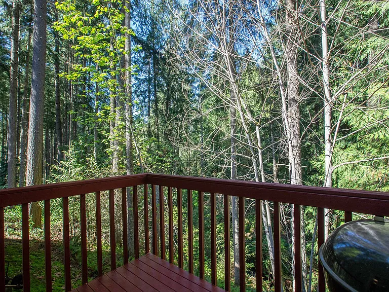 22530 Bluewater Dr SE — Photo 36
