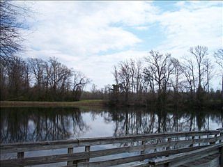 4th image of 5693 Highway 55 W