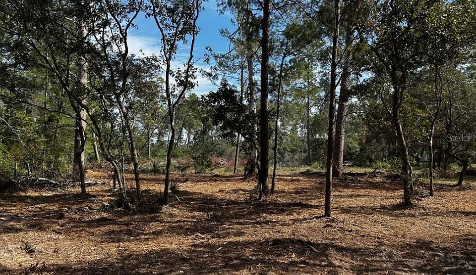 1st image of 6235 N RED FERN TERRACE LOT 16