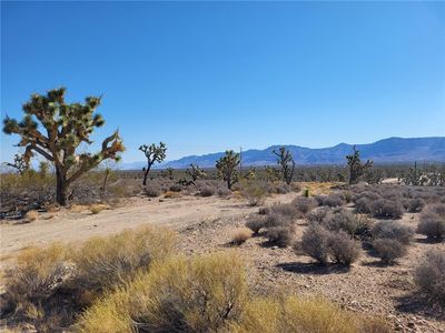 26476 N Tamarisk St, Meadview, AZ, 86444