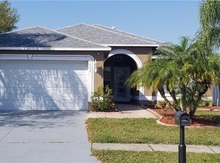 1402 Birchstone Ave, Brandon, FL 33511