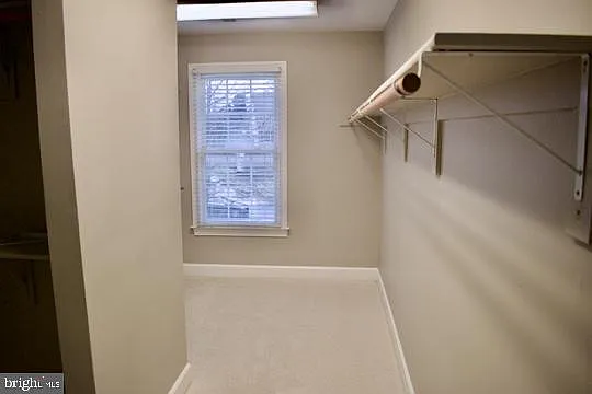 12803 Portias Promise Dr — Photo 38