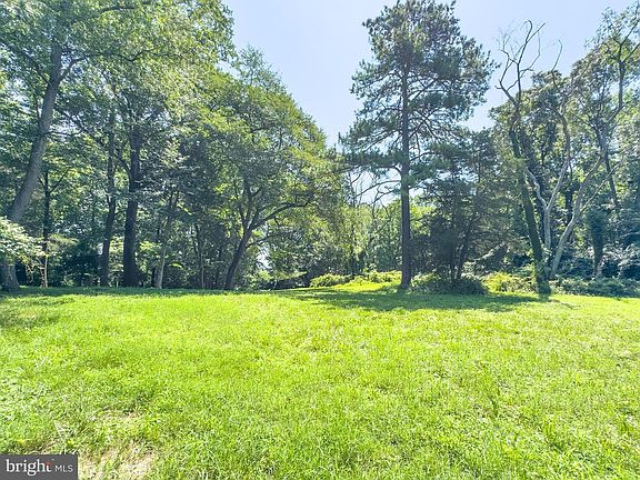 4th image of 4113 Pineridge Dr
