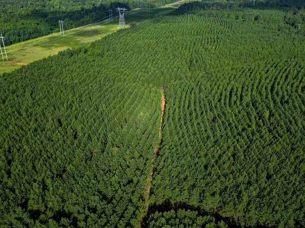 0 Newman Smith Rd, Bartow, GA 30413