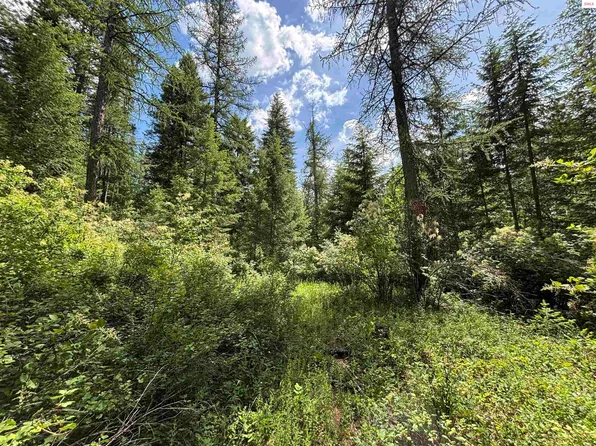 Nna No End Rd, Cocolalla, ID 83813
