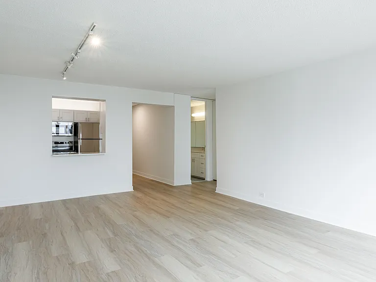 301 N Stetson Ave #3207 — Photo 4