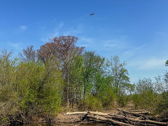 4th image of 1962 Upper Lockhart Rd