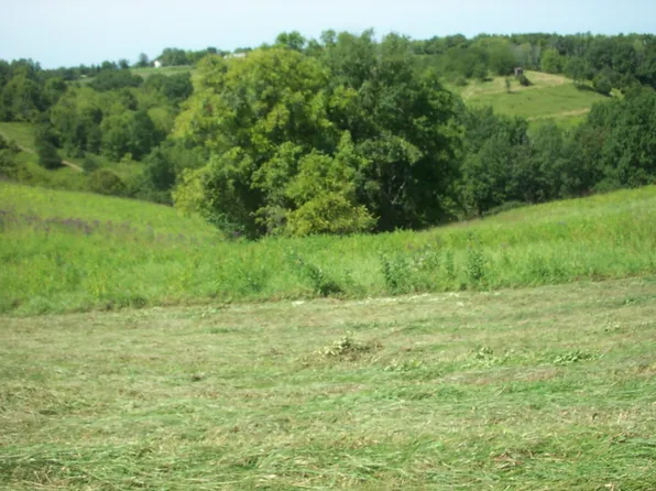 Castleknoll Rd, Williamstown, KY 41097