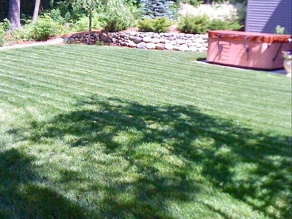 Landscaped Back Yard
