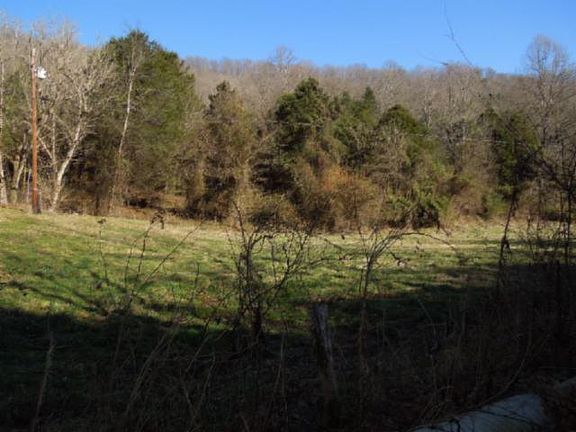 4th image of 48 Webster Branch Ln