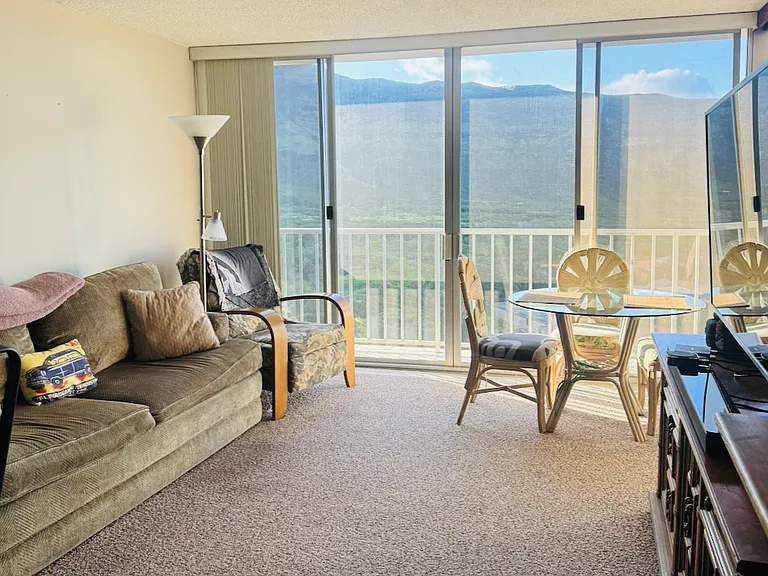 Living Room with paradise views