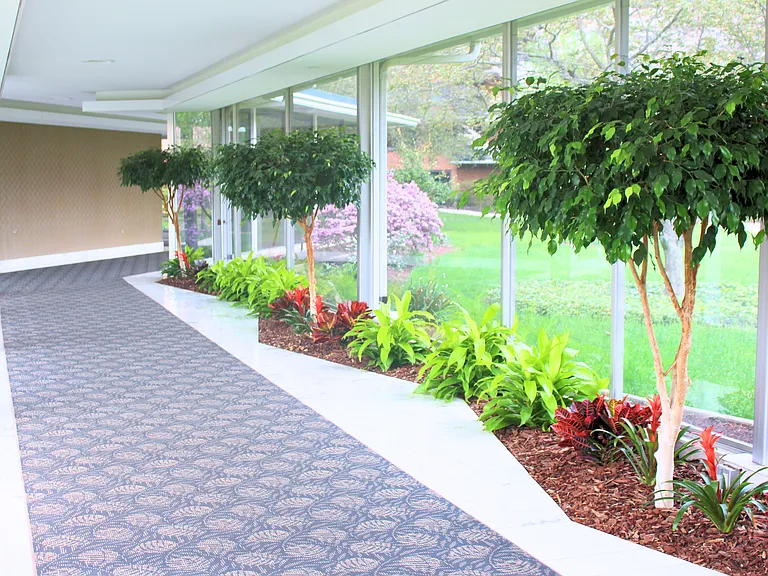 Resident Hallway from Lobby